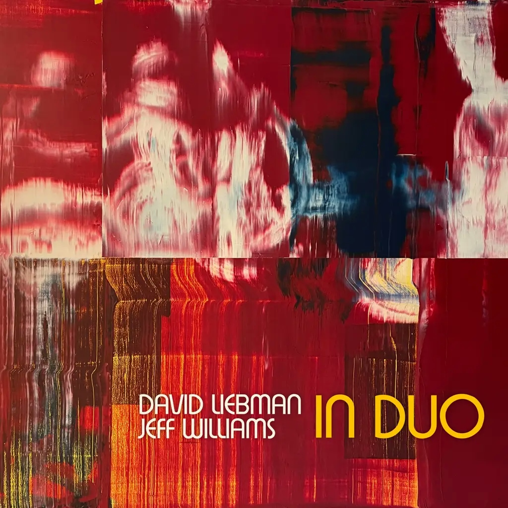 Album artwork for In Duo by Dave Liebman, Jeff Williams