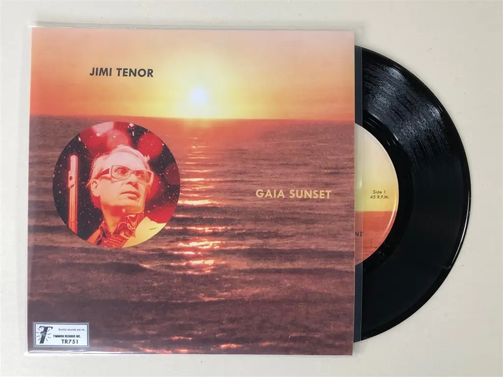 Album artwork for Gaia Sunset Part 1 & 2 by Jimi Tenor, Cold Diamond, Mink