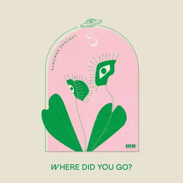 Album artwork for Where Did You Go? by Band
