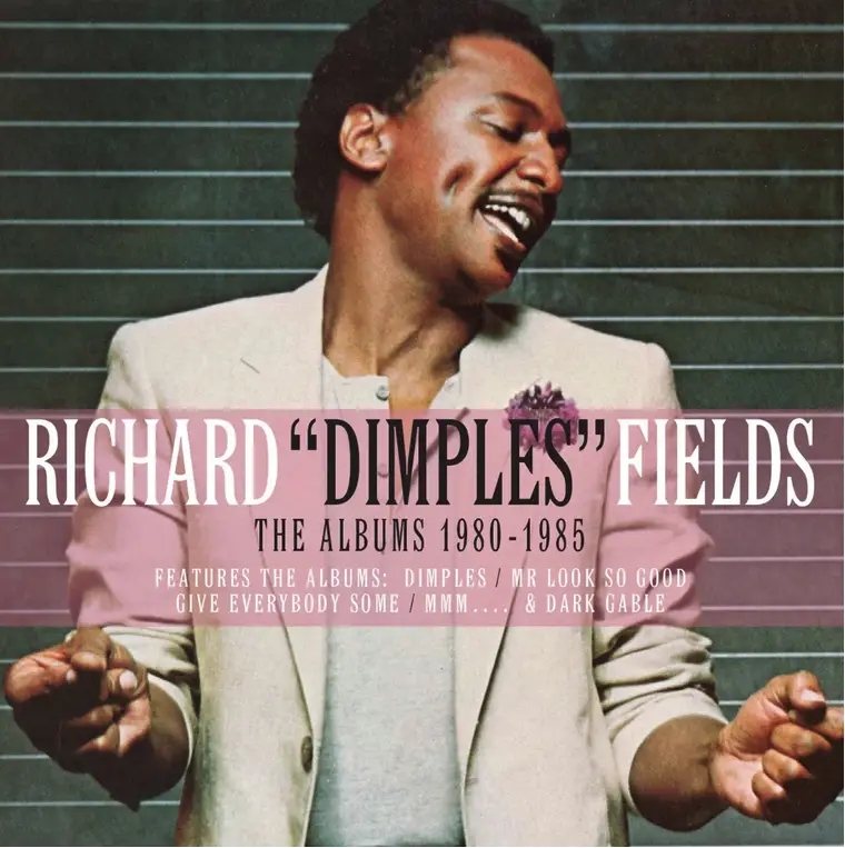 Album artwork for The Albums 1980-1985 by Richard Dimples Fields
