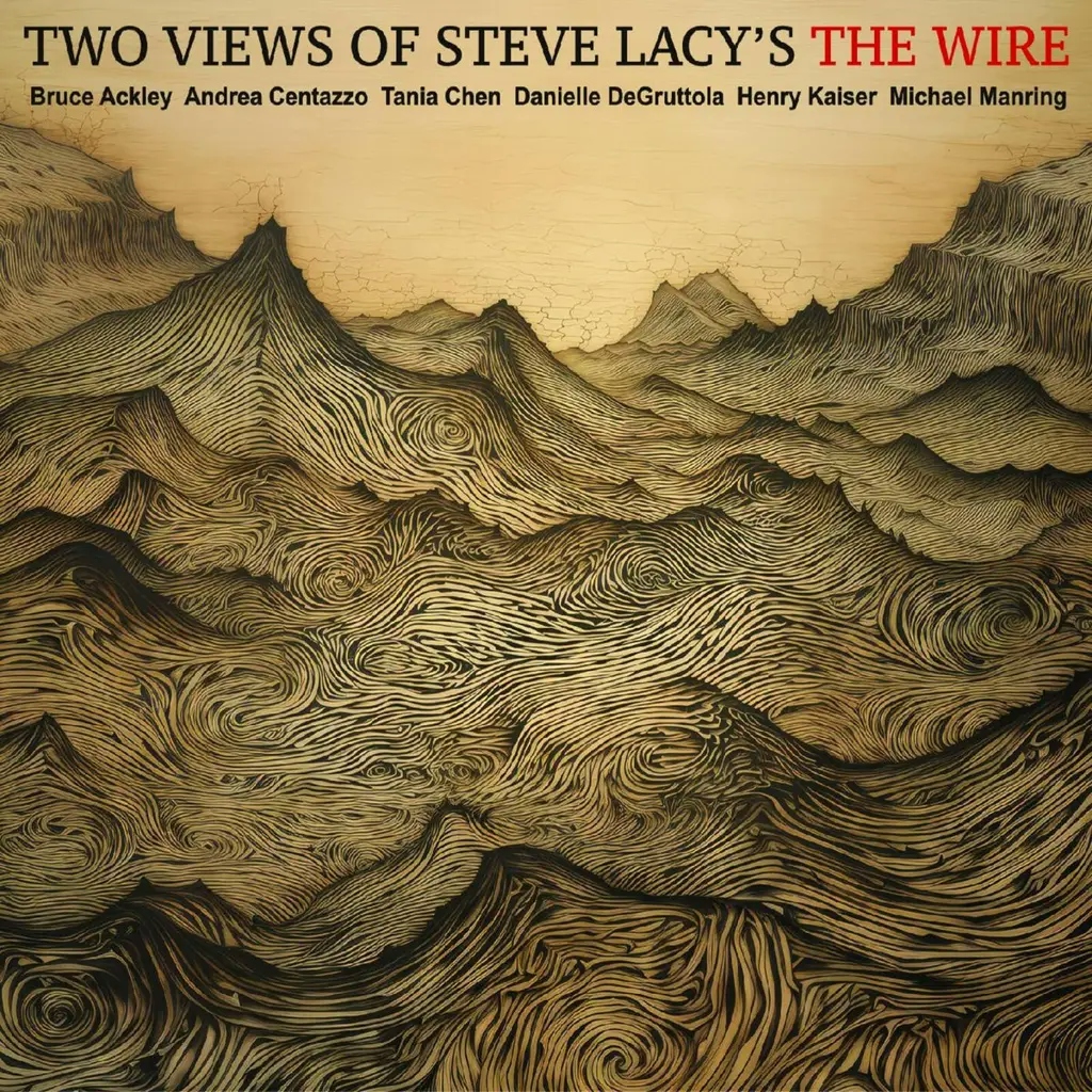 Album artwork for Two Views of Steve Lacys the Wire by Ackley, Chen, Centazzo, DeGruttola, Kaiser, Manring