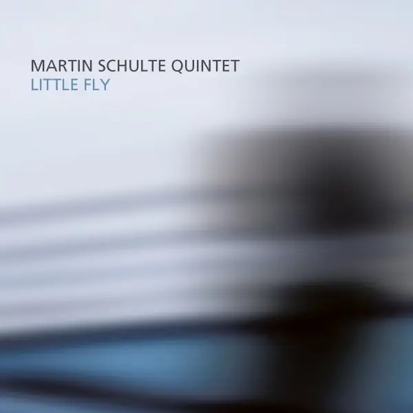 Album artwork for Little Fly by Martin Schulte Next Gate Quintet