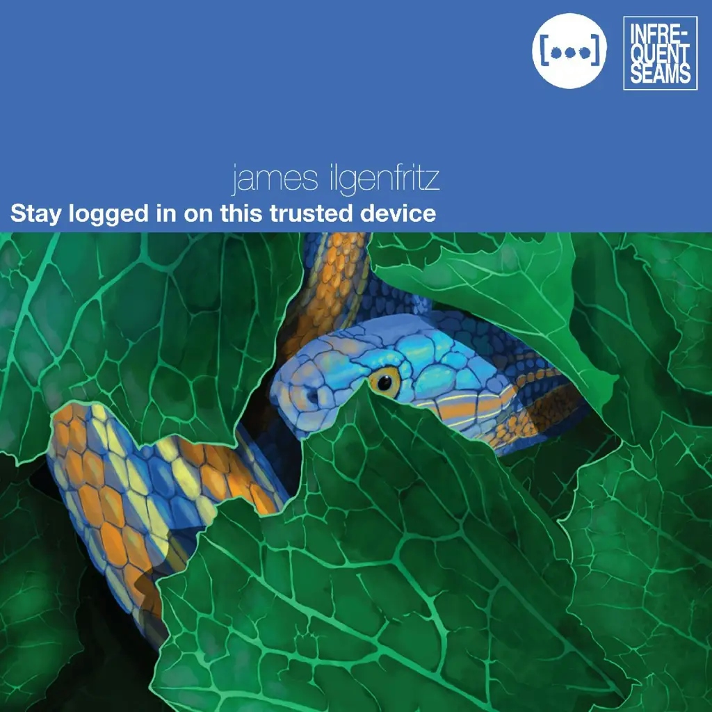 Album artwork for Stay Logged In On This Trusted Device by James Ilgenfritz