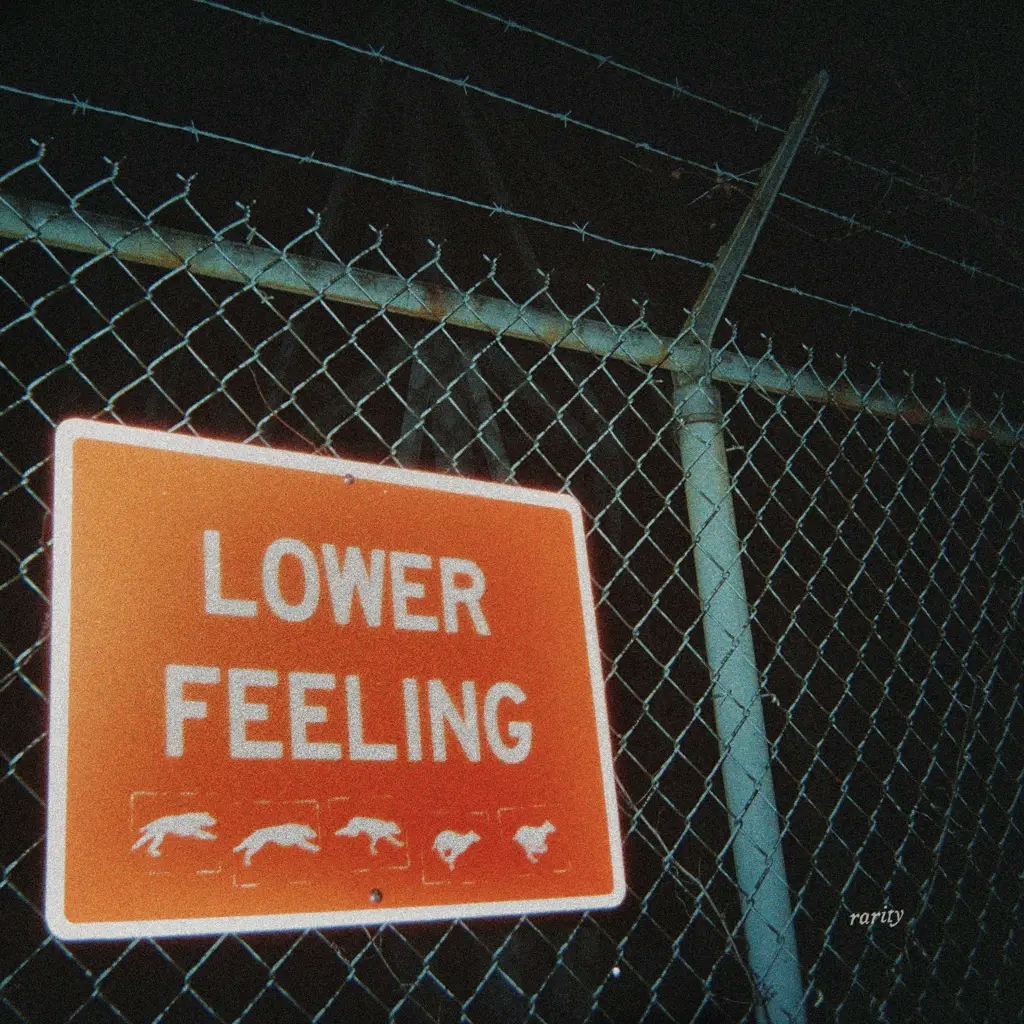 Album artwork for Lower Feeling by Rarity